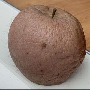 Meet your Posher, Nolan